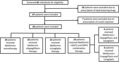 Effect of metformin monotherapy and dual or triple concomitant therapy with metformin on glycemic control and lipid profile management of patients with type 2 diabetes mellitus